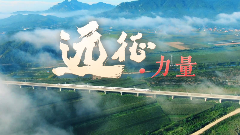 &#20048;&#40060;