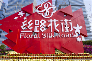 &#20048;&#40060;